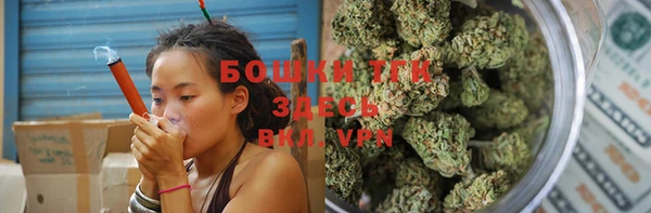 PSILOCYBIN Абаза