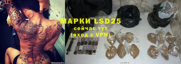 PSILOCYBIN Абдулино